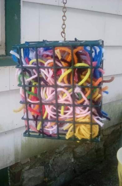 received_393106384602888