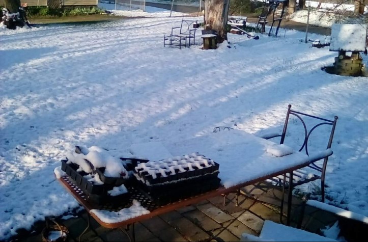 received_1078045199064517