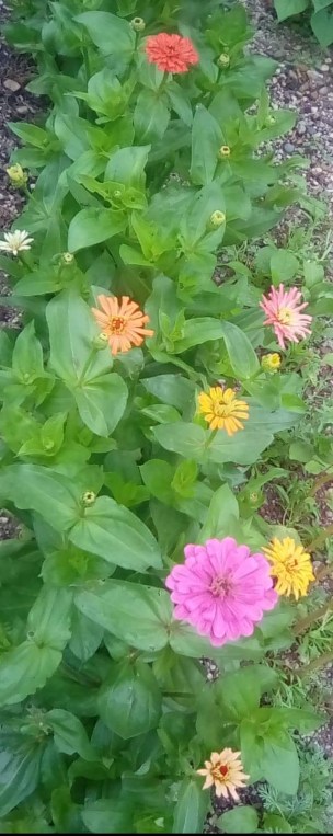 received_1578721842237834